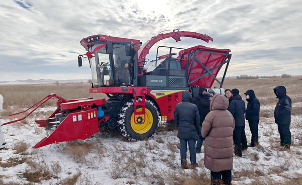 標(biāo)題:中央財(cái)政林草科技推廣項(xiàng)目設(shè)備交付 檸條收獲機(jī)落地賦能沙地生態(tài)治理
瀏覽次數(shù):528
發(fā)表時(shí)間:2025-12-12